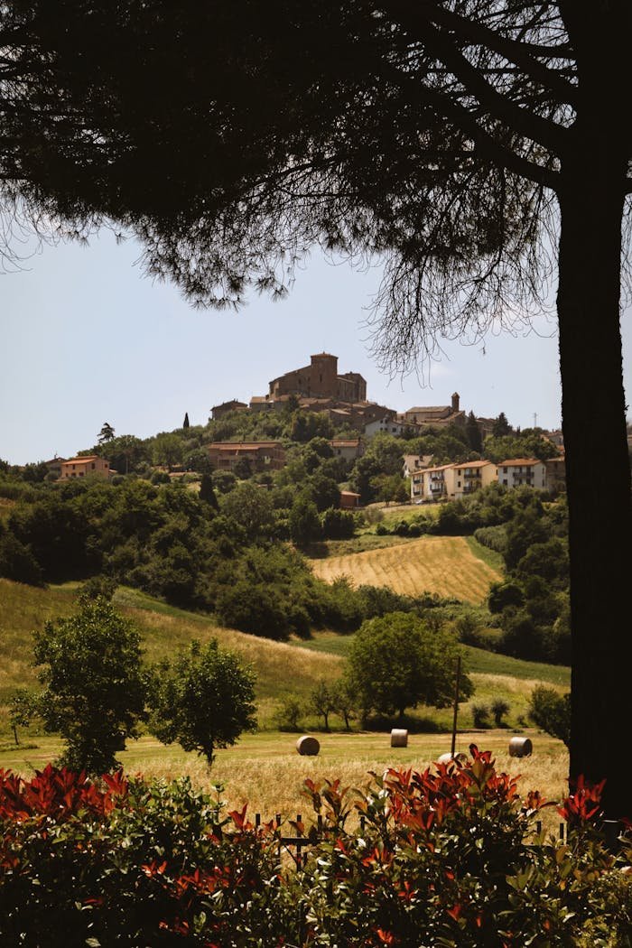 Wine Travel planning itinerari enoturistici 