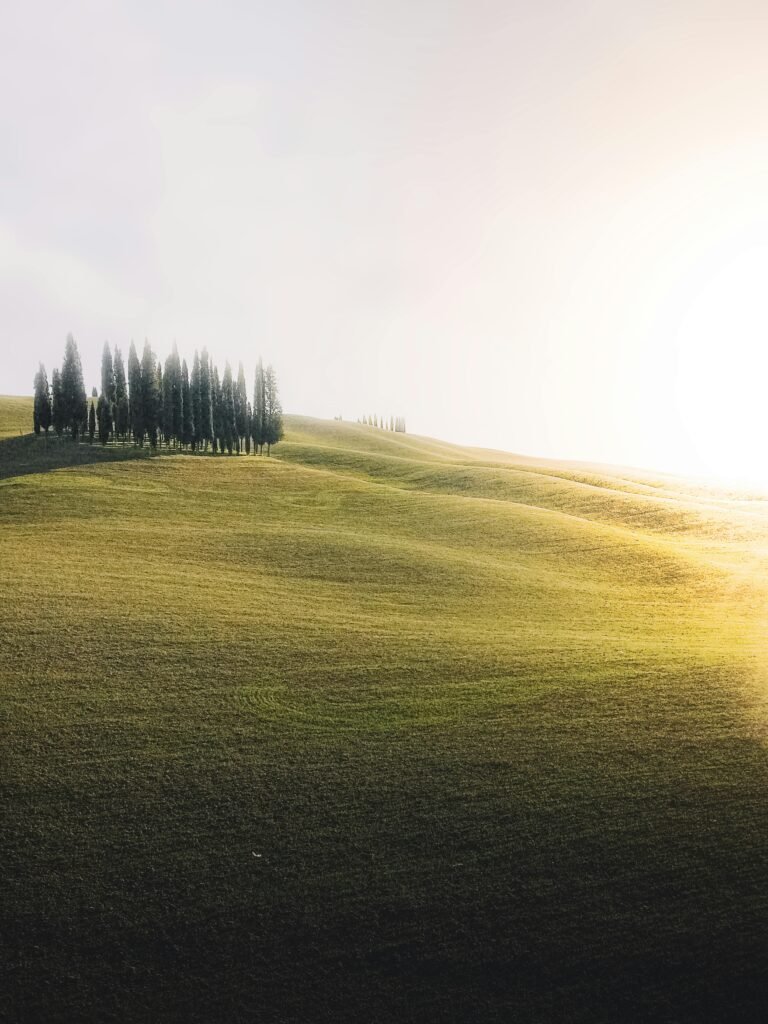 Racconti di vino e territorio in Toscana